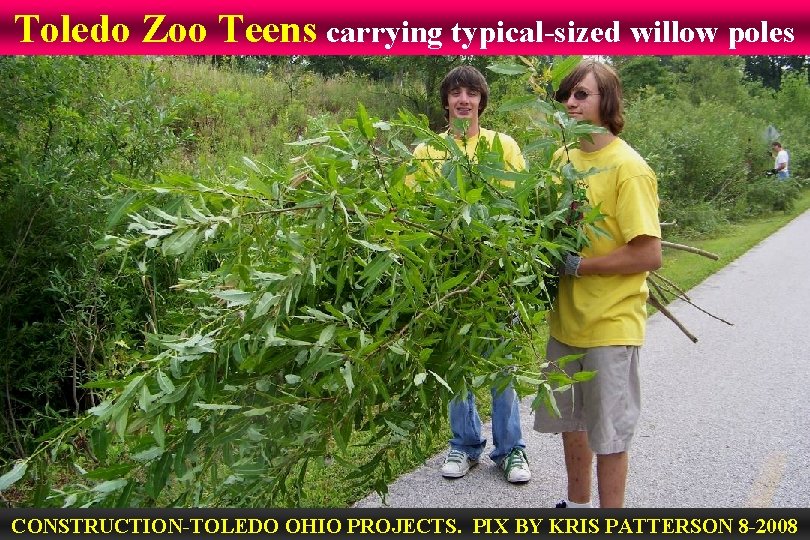 Toledo Zoo Teens carrying typical-sized willow poles CONSTRUCTION-TOLEDO OHIO PROJECTS. PIX BY KRIS PATTERSON