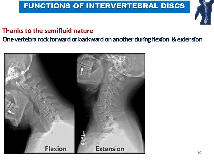 FUNCTIONS OF INTERVERTEBRAL DISCS Thanks to the semifluid nature One vertebra rock forward or