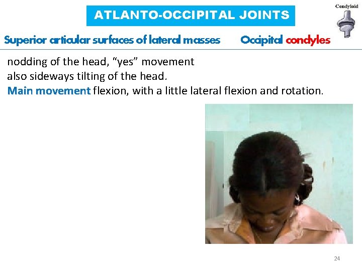 ATLANTO-OCCIPITAL JOINTS Superior articular surfaces of lateral masses Occipital condyles nodding of the head,