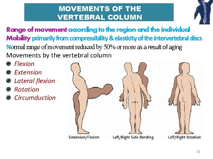 MOVEMENTS OF THE VERTEBRAL COLUMN Range of movement according to the region and the