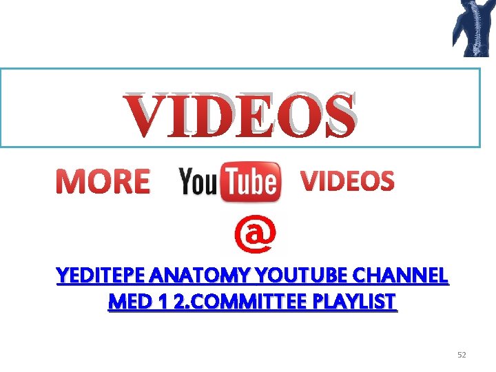 VIDEOS MORE VIDEOS YEDITEPE ANATOMY YOUTUBE CHANNEL MED 1 2. COMMITTEE PLAYLIST 52 