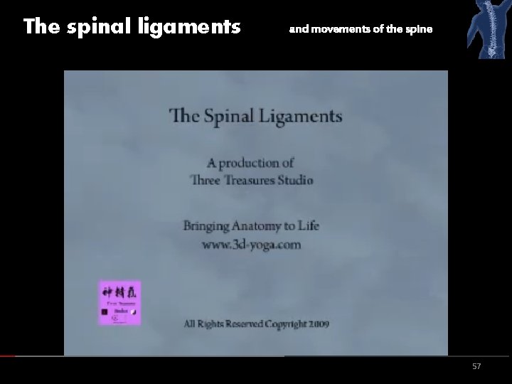 The spinal ligaments and movements of the spine 57 