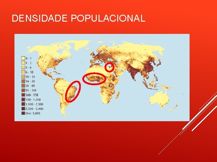 DENSIDADE POPULACIONAL 