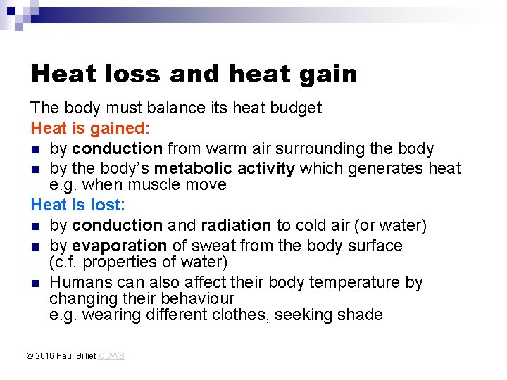 Heat loss and heat gain The body must balance its heat budget Heat is