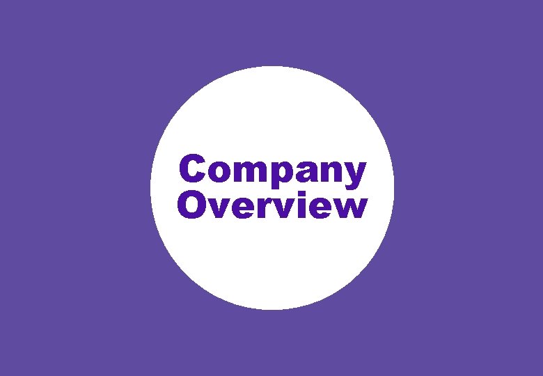 Company Overview 