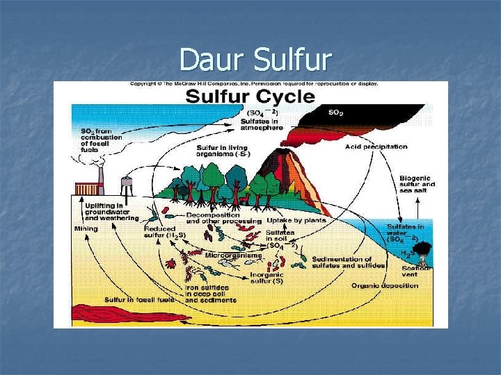 Daur Sulfur 