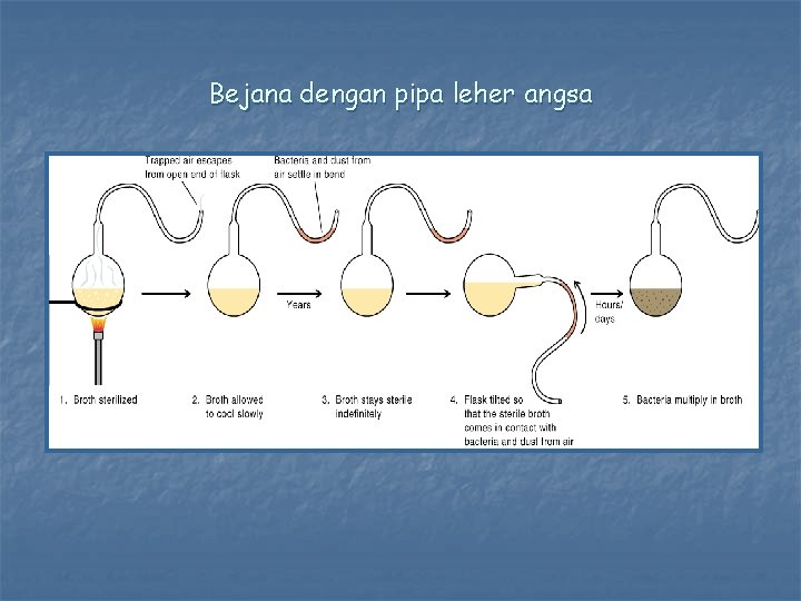 Bejana dengan pipa leher angsa 