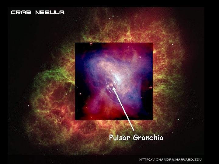 Pulsar Granchio 