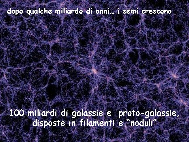 dopo qualche miliardo di anni… i semi crescono 100 miliardi di galassie e proto-galassie,