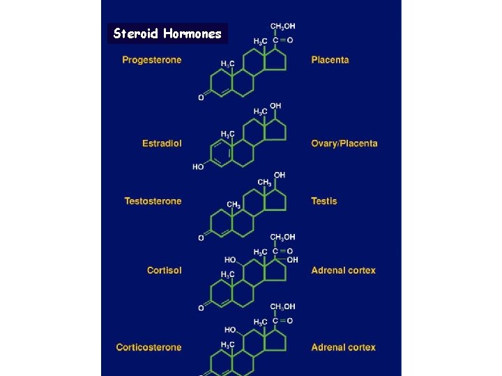 Steroid Hormones 