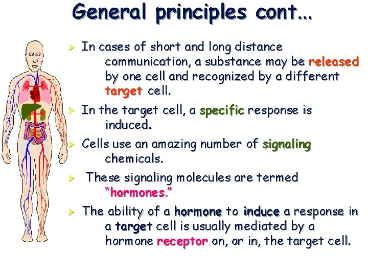 General principles cont. . . Ø Ø Ø In cases of short and long