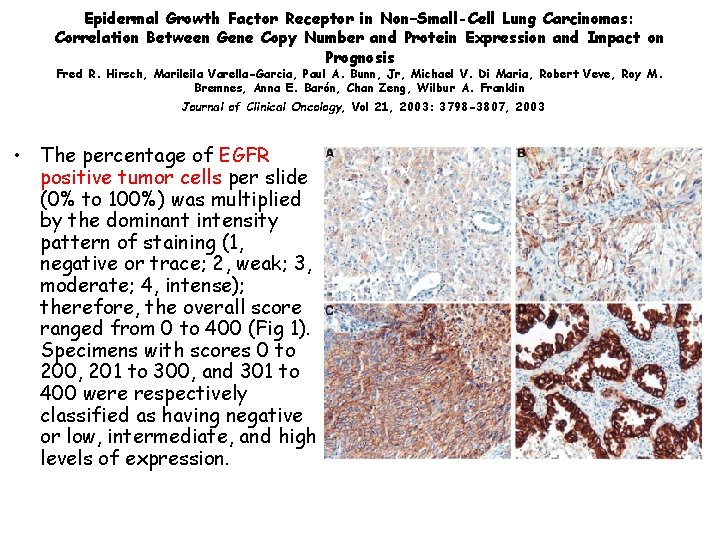 Epidermal Growth Factor Receptor in Non–Small-Cell Lung Carcinomas: Correlation Between Gene Copy Number and