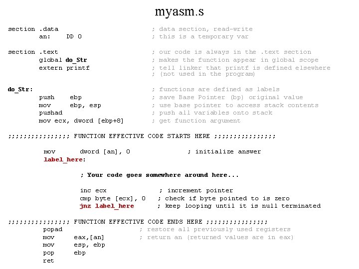 myasm. s section. data an: DD 0 ; data section, read-write ; this is