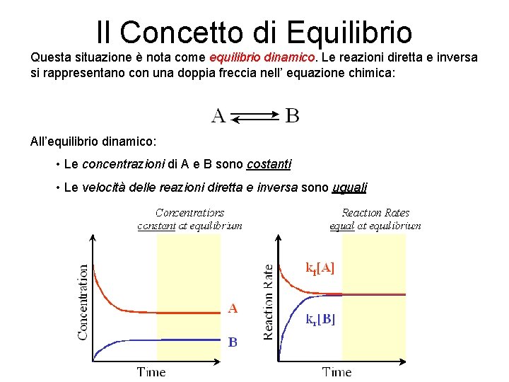 Il Concetto di Equilibrio Questa situazione è nota come equilibrio dinamico. Le reazioni diretta