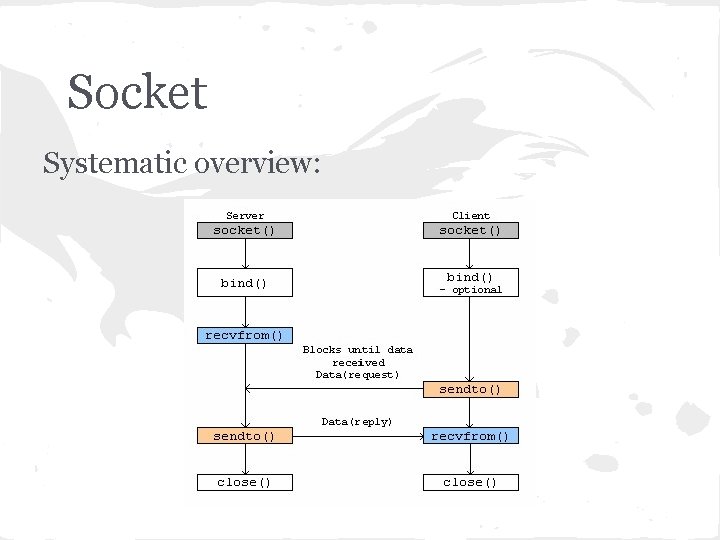 Socket Systematic overview: 