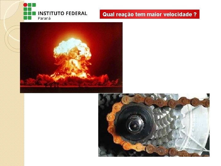 Qual reação tem maior velocidade ? 