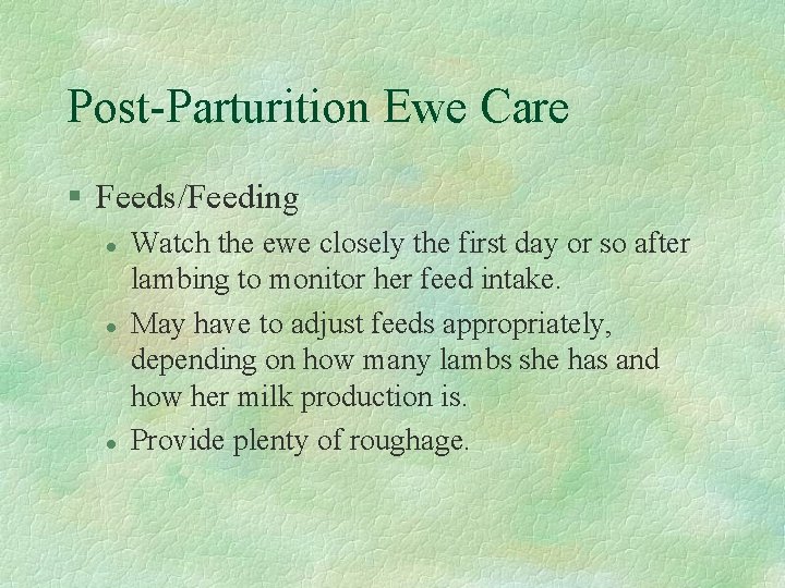 Post-Parturition Ewe Care § Feeds/Feeding l l l Watch the ewe closely the first