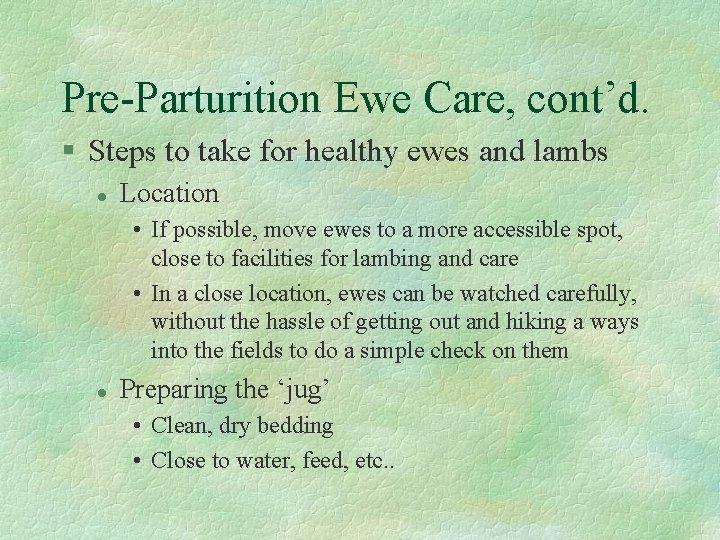 Pre-Parturition Ewe Care, cont’d. § Steps to take for healthy ewes and lambs l