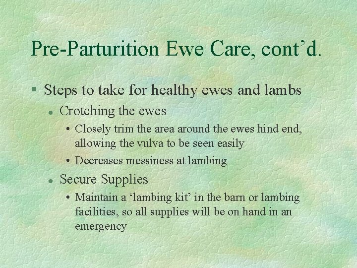 Pre-Parturition Ewe Care, cont’d. § Steps to take for healthy ewes and lambs l