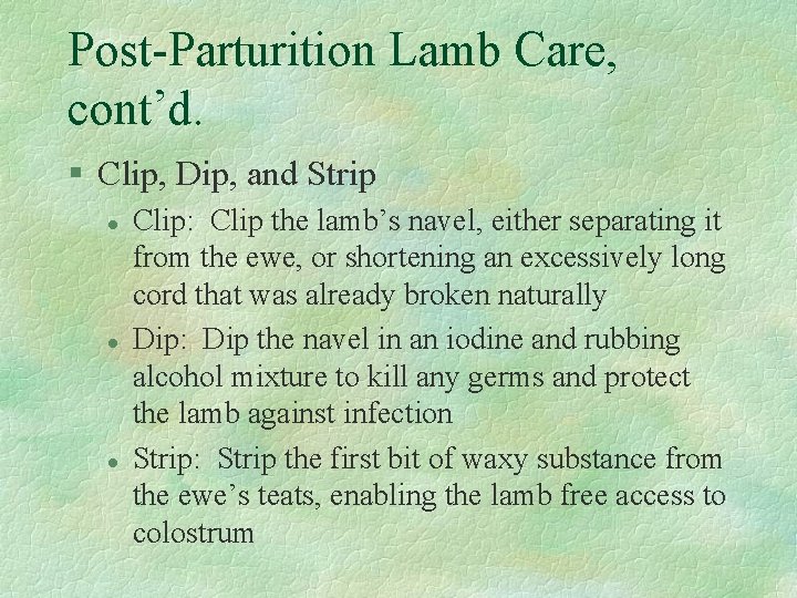 Post-Parturition Lamb Care, cont’d. § Clip, Dip, and Strip l l l Clip: Clip
