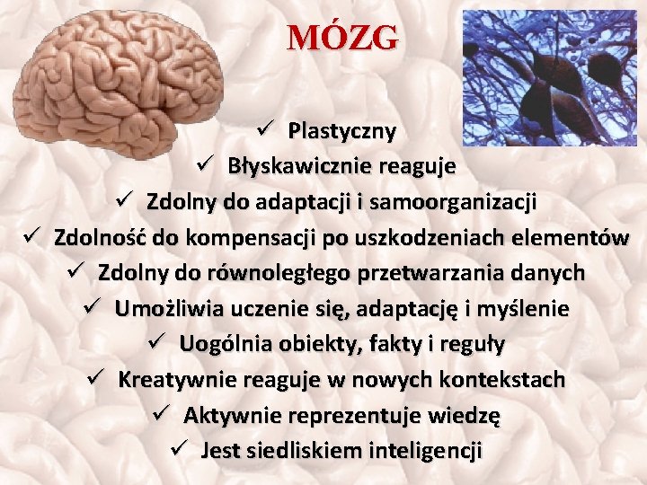 MÓZG ü Plastyczny ü Błyskawicznie reaguje ü Zdolny do adaptacji i samoorganizacji ü Zdolność