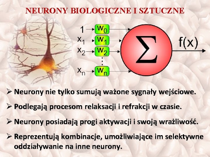 NEURONY BIOLOGICZNE I SZTUCZNE Ø Neurony nie tylko sumują ważone sygnały wejściowe. Ø Podlegają