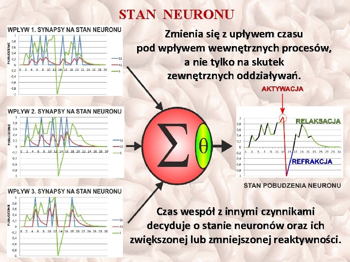 STAN NEURONU Zmienia się z upływem czasu pod wpływem wewnętrznych procesów, a nie tylko
