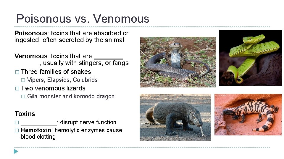 Poisonous vs. Venomous Poisonous: toxins that are absorbed or ingested, often secreted by the
