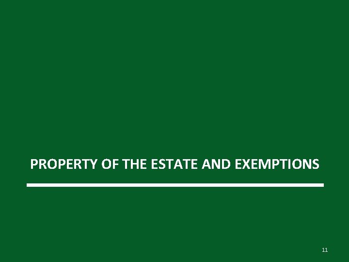PROPERTY OF THE ESTATE AND EXEMPTIONS 11 