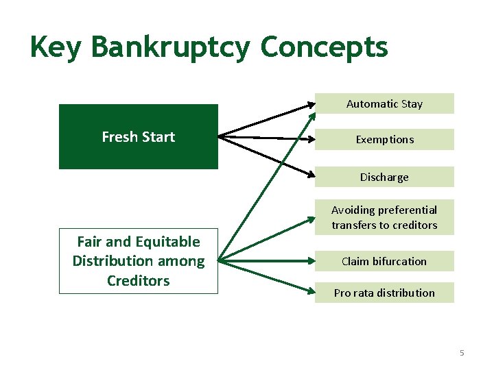 Key Bankruptcy Concepts Automatic Stay Fresh Start Exemptions Discharge Fair and Equitable Distribution among