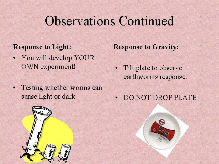 Observations Continued Response to Light: • You will develop YOUR OWN experiment! • Testing