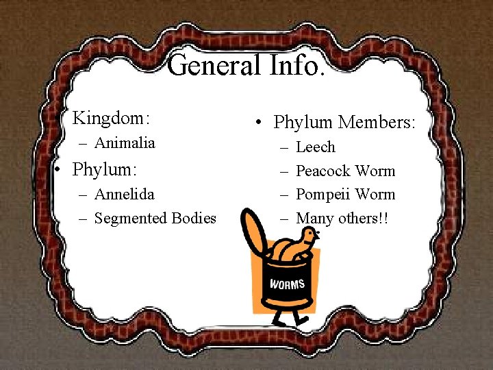 General Info. • Kingdom: – Animalia • Phylum: – Annelida – Segmented Bodies •