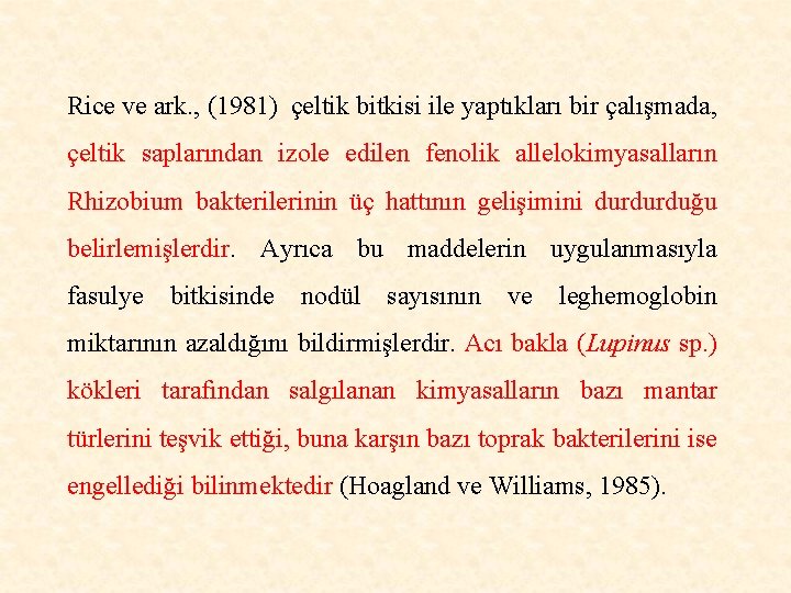 Rice ve ark. , (1981) çeltik bitkisi ile yaptıkları bir çalışmada, çeltik saplarından izole