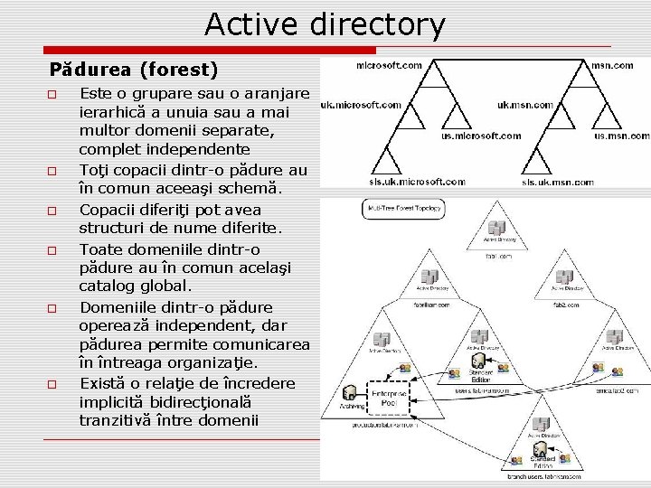 Active directory Pădurea (forest) Este o grupare sau o aranjare ierarhică a unuia sau