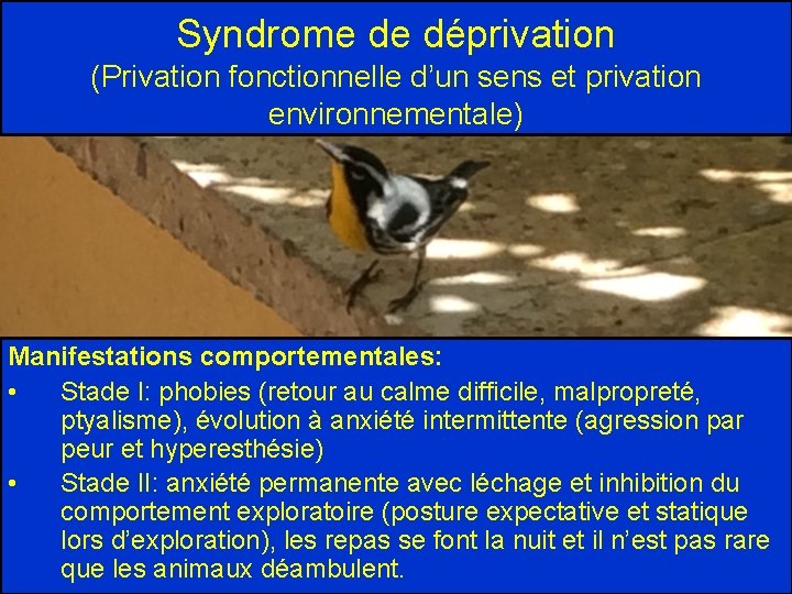 Syndrome de déprivation (Privation fonctionnelle d’un sens et privation environnementale) Manifestations comportementales: • Stade