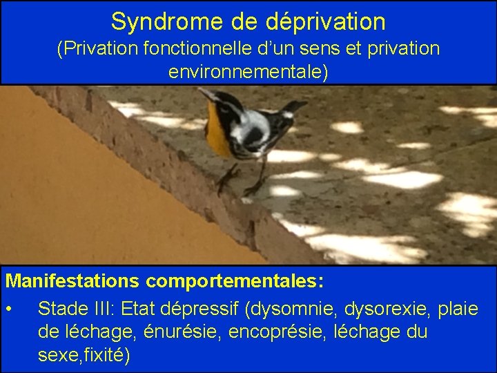 Syndrome de déprivation (Privation fonctionnelle d’un sens et privation environnementale) Manifestations comportementales: • Stade