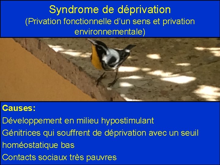 Syndrome de déprivation (Privation fonctionnelle d’un sens et privation environnementale) Causes: Développement en milieu