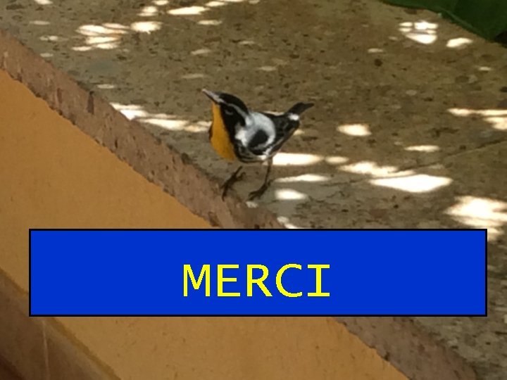 MERCI 