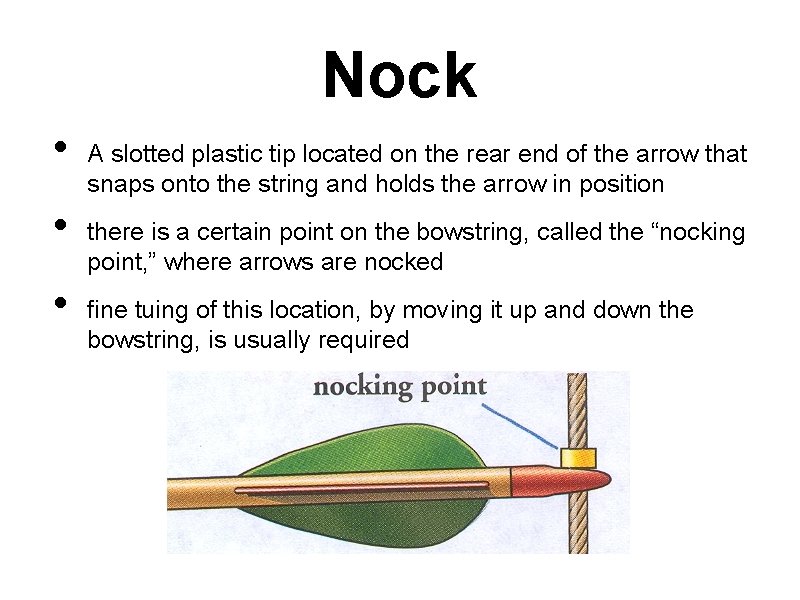 Nock • • • A slotted plastic tip located on the rear end of