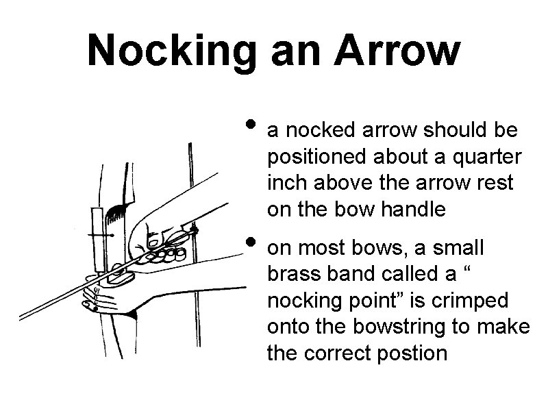 Nocking an Arrow • a nocked arrow should be positioned about a quarter inch