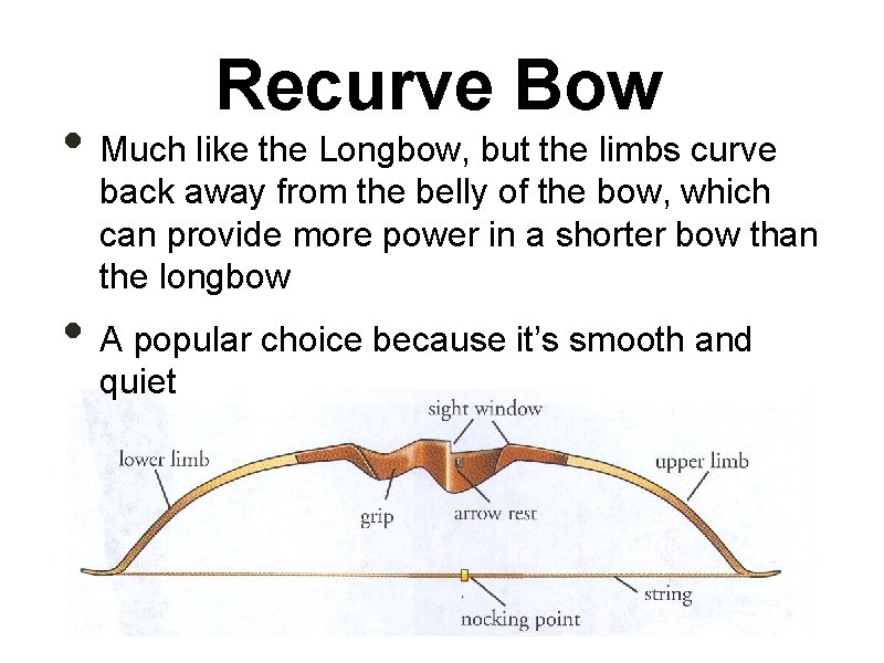 Recurve Bow • Much like the Longbow, but the limbs curve back away from