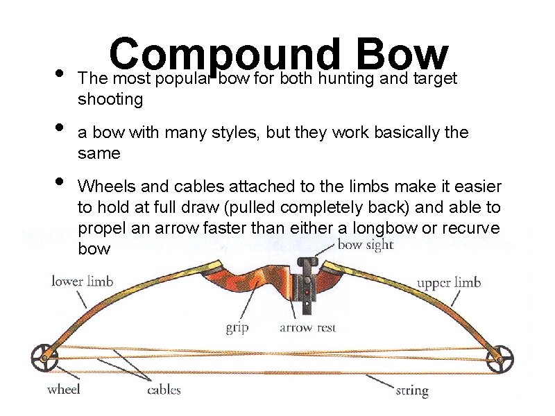  • • • Compound Bow The most popular bow for both hunting and