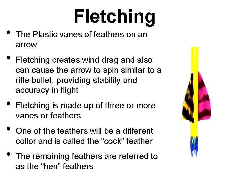  • • • Fletching The Plastic vanes of feathers on an arrow Fletching