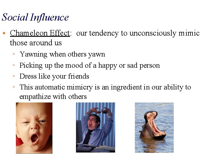 Social Influence w Chameleon Effect: our tendency to unconsciously mimic those around us •