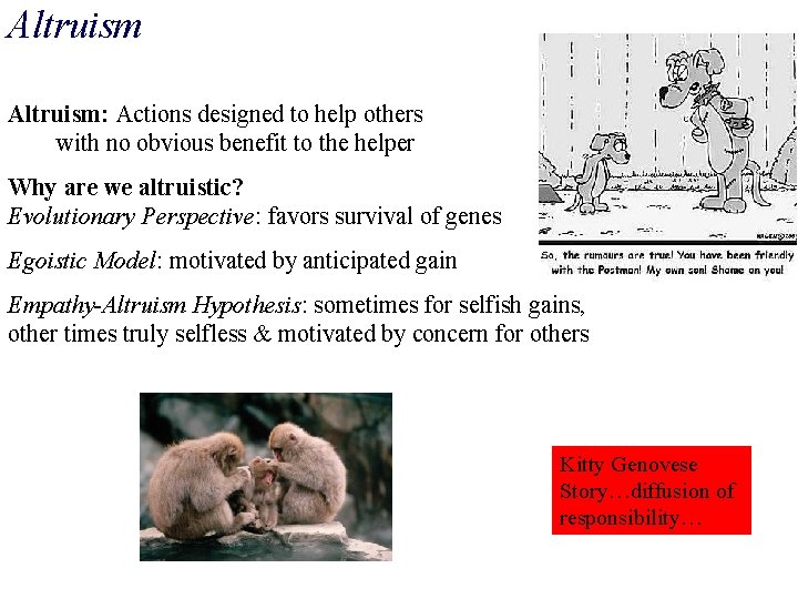 Altruism: Actions designed to help others with no obvious benefit to the helper Why