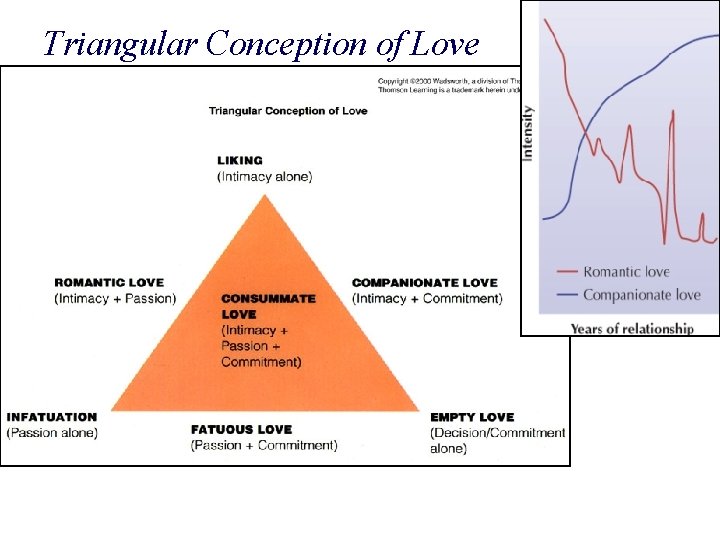 Triangular Conception of Love 