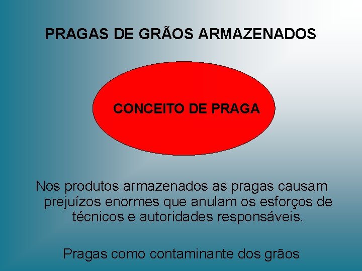 PRAGAS DE GRÃOS ARMAZENADOS CONCEITO DE PRAGA Nos produtos armazenados as pragas causam prejuízos