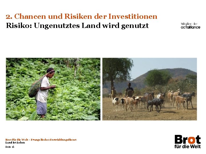 2. Chancen und Risiken der Investitionen Risiko: Ungenutztes Land wird genutzt Brot für die