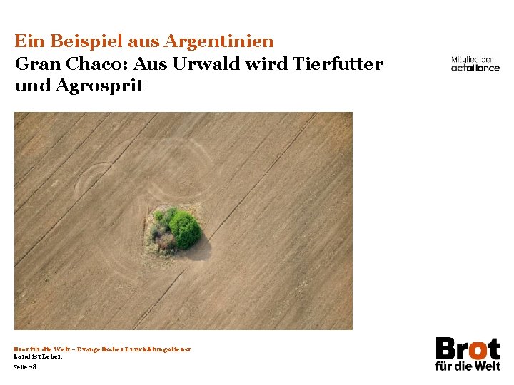 Ein Beispiel aus Argentinien Gran Chaco: Aus Urwald wird Tierfutter und Agrosprit Brot für