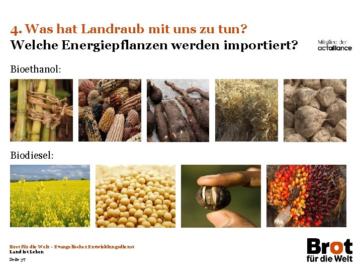 4. Was hat Landraub mit uns zu tun? Welche Energiepflanzen werden importiert? Bioethanol: Biodiesel: